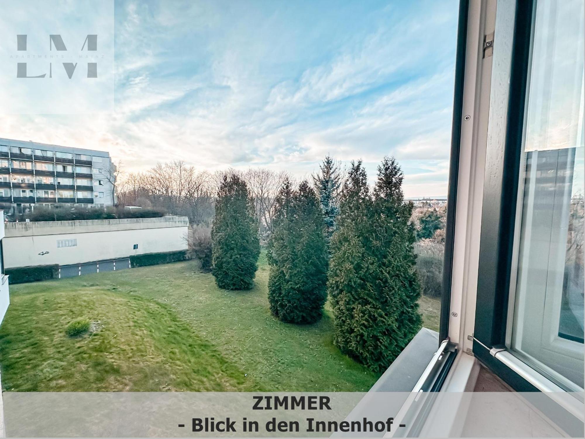 Lm-Apartmentsmainz-01 Exterior photo